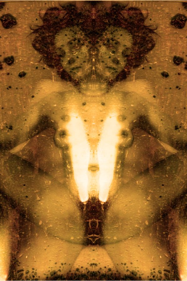 Sans titre #6 _ 2001-2022